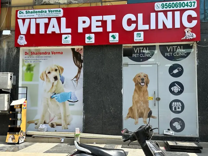 VITAL PET CLINIC, photo 3