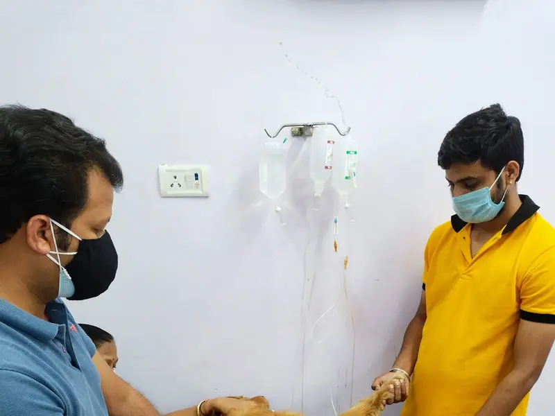 VITAL PET CLINIC, photo 4
