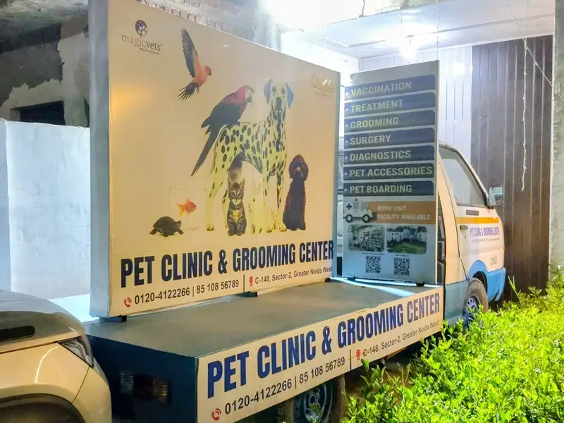 Magicvets, photo 3