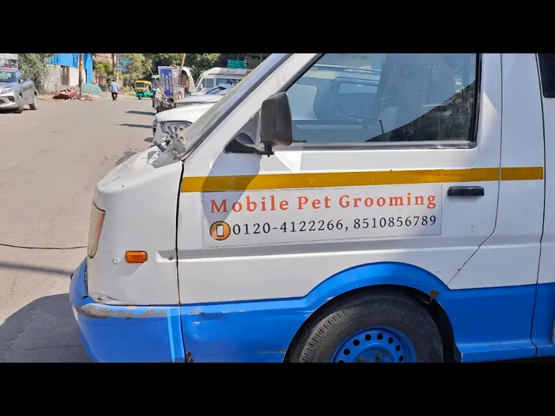 Magicvets, photo 5
