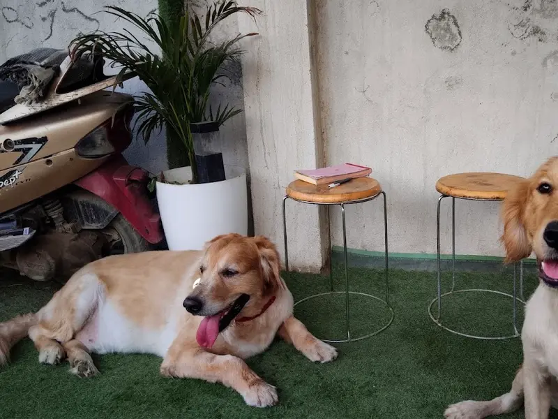 Shom Pet Care, photo 4