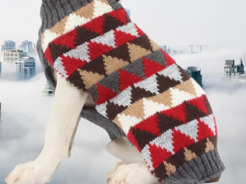 KUTKUT STYLE - Best Pet Care Products, photo 2