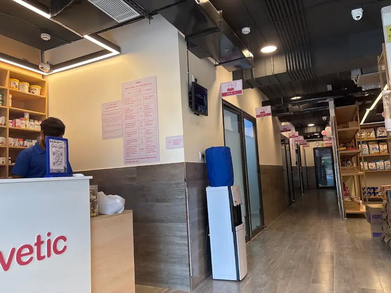Vetic Pet Clinic Noida Sector 20, photo 3