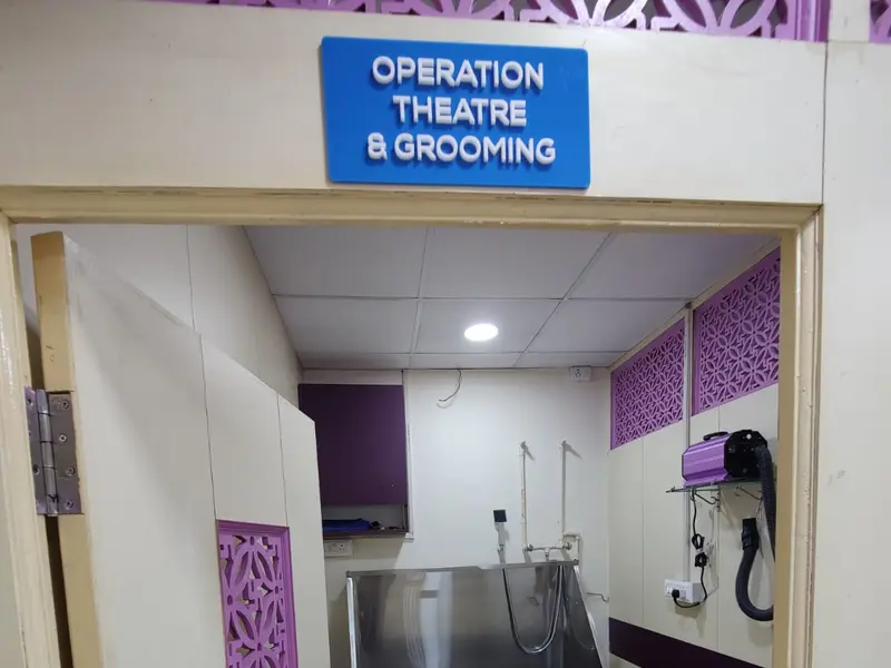 Capital Vets - Pet clinic, Greater Noida, photo 3