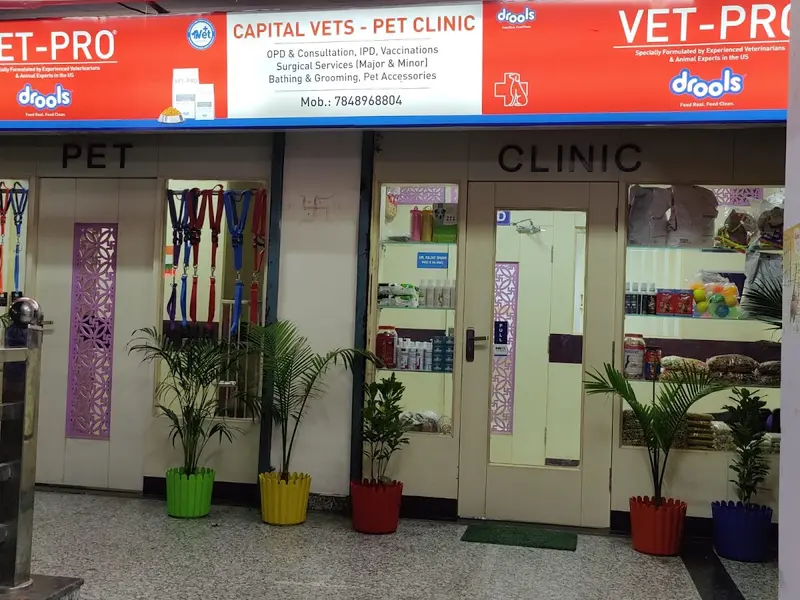 Capital Vets - Pet clinic, Greater Noida, photo 4
