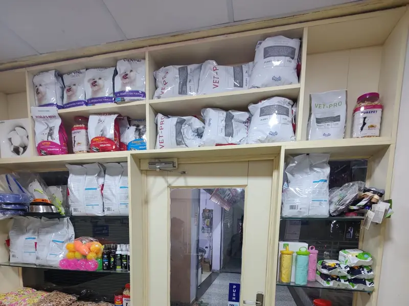 Capital Vets - Pet clinic, Greater Noida, photo 5