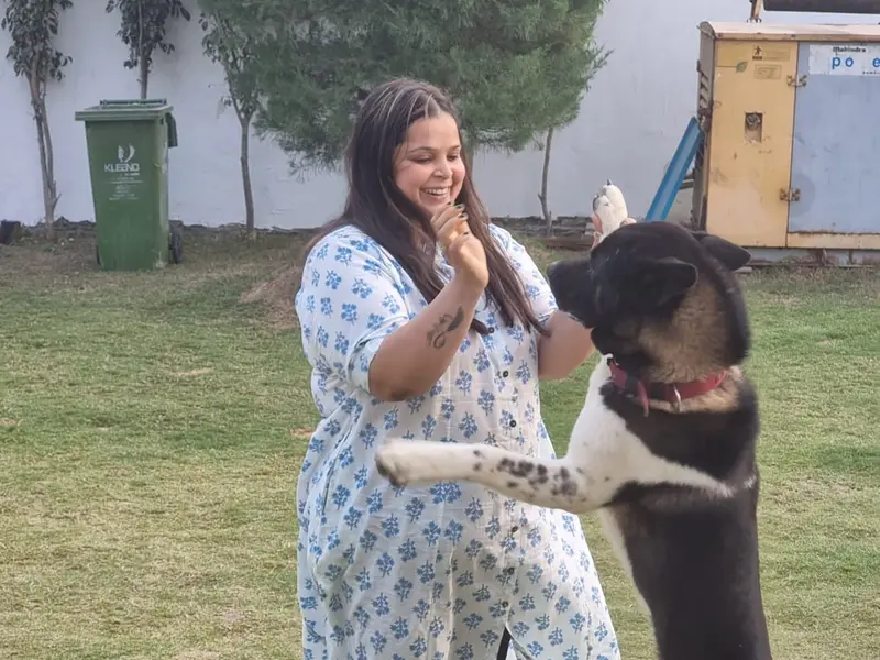 Furry Tails the pet's paradise