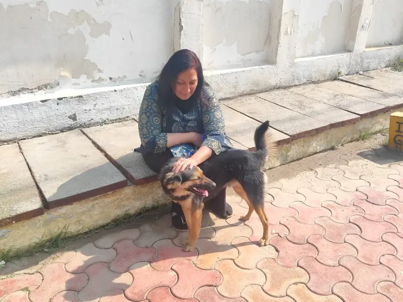 HappyPooches, photo 3