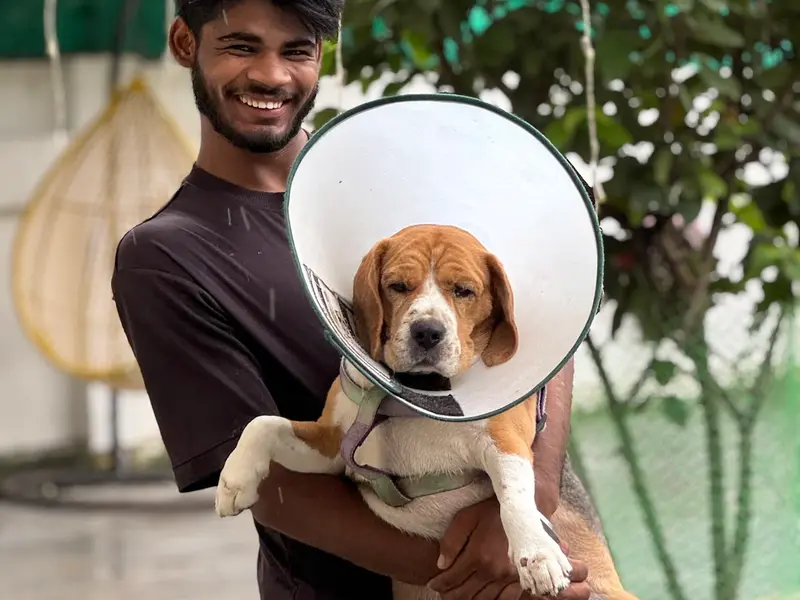 Pawsome pet services, photo 2
