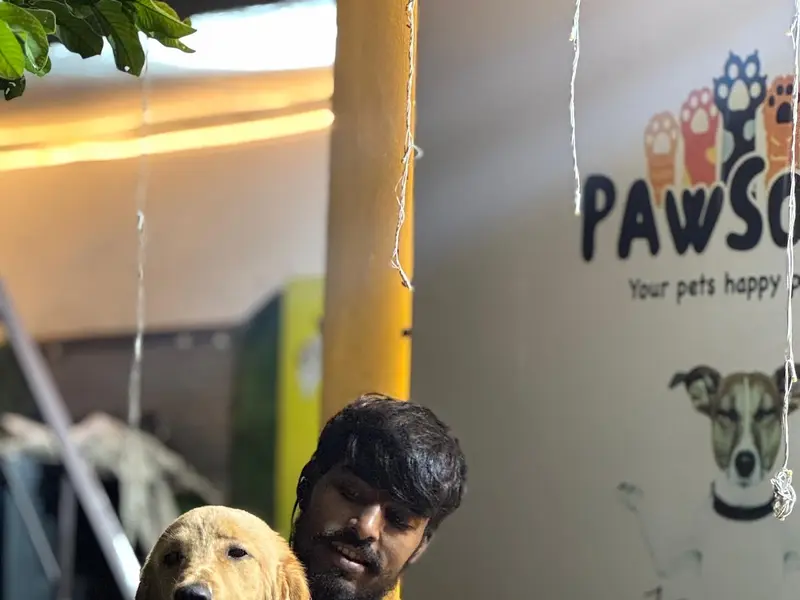 Pawsome pet services, photo 4