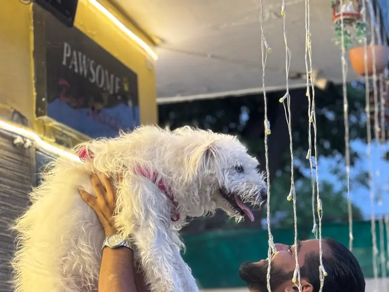 Pawsome pet services, photo 5