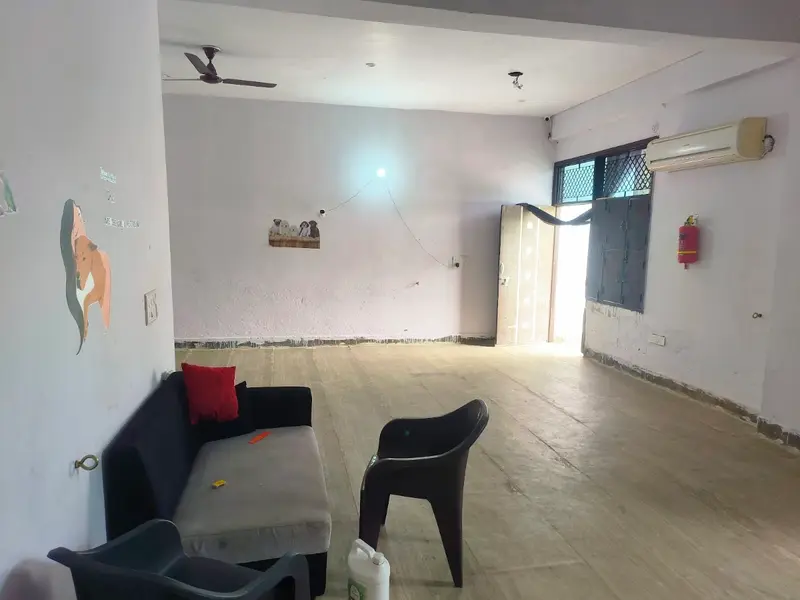 Pettik (Pet Grooming Service near me), photo 5