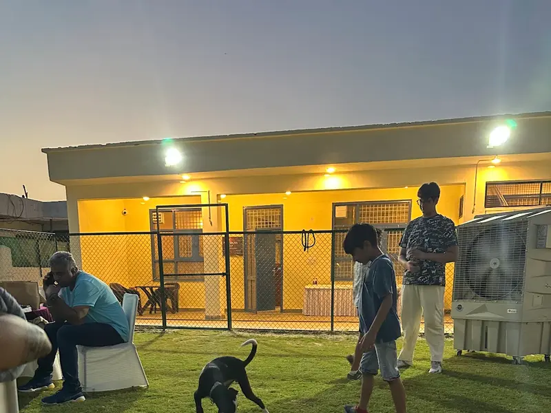 Poochkins - Dog boarding Noida, photo 4