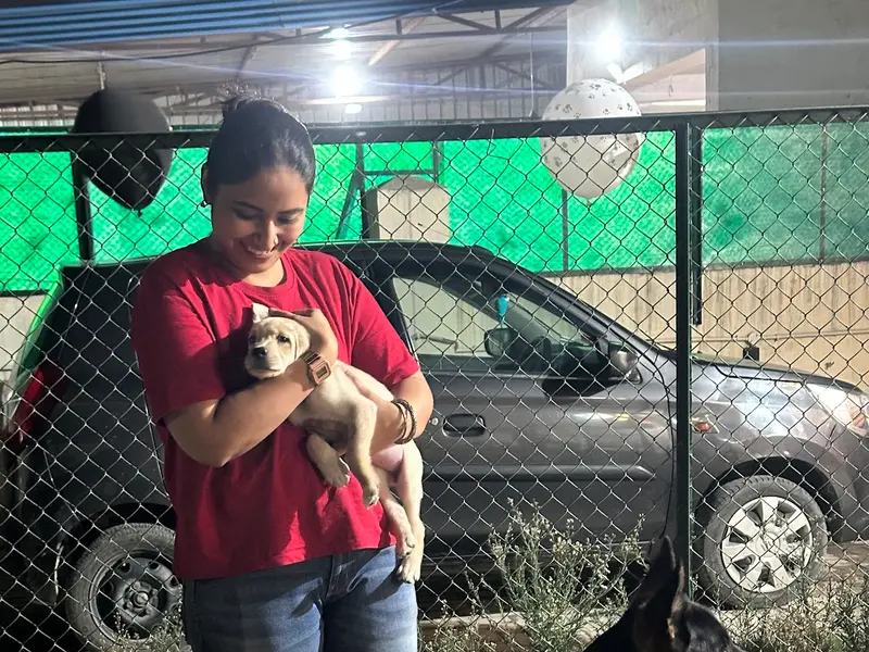 Poochkins - Dog boarding Noida, photo 5