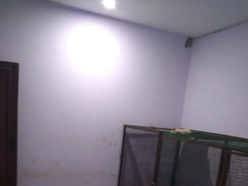 Mutt Polish Pet Clinic & Boarding House