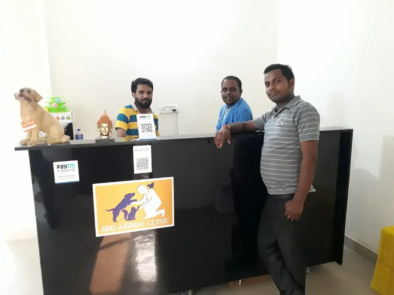 SKG Animal Clinic Best Pet Clinic in Noida, photo 2