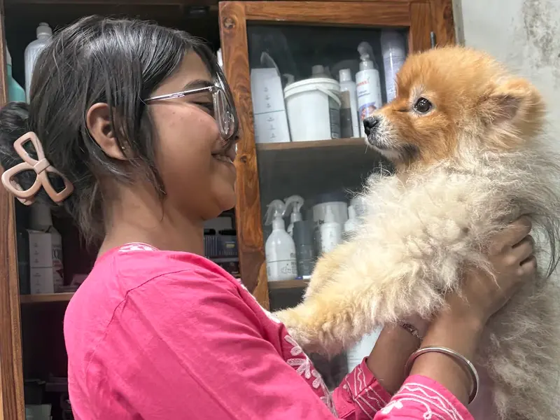 Style N Dogz in Noida (Pet Grooming & Academy), photo 5