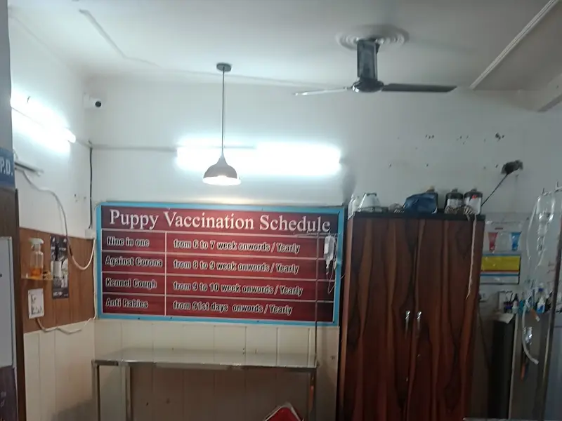 LIFE CARE PET CLINIC, photo 2