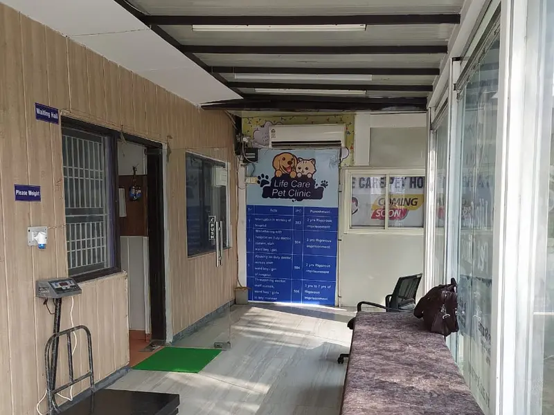 LIFE CARE PET CLINIC, photo 3
