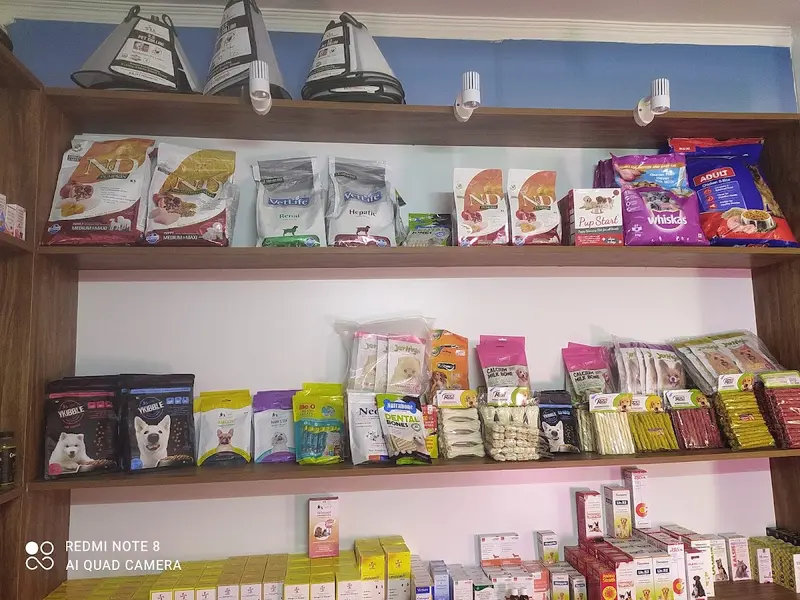 LIFE CARE PET CLINIC, photo 5