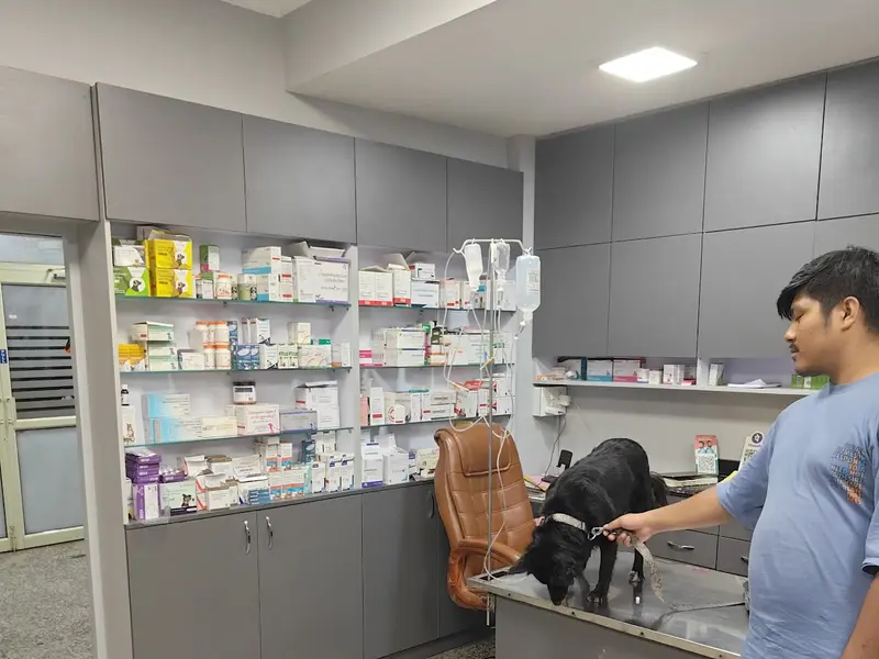 UR PET CLINIC, photo 3