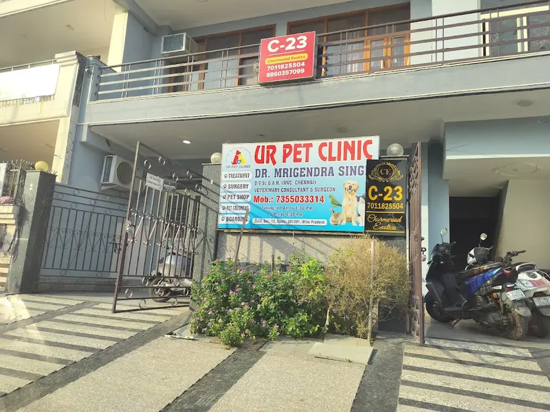 UR PET CLINIC, photo 4