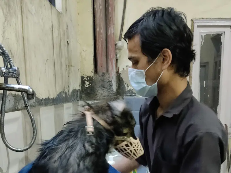 UR PET CLINIC, photo 5