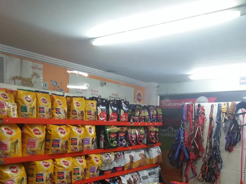 Vets N Pets, photo 3