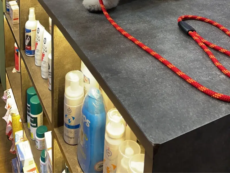 Tiny Tails - Pet store and grooming 🐶🐱, photo 3
