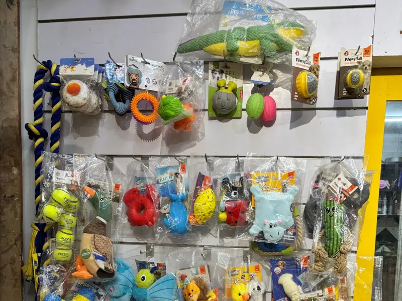 Tiny Tails - Pet store and grooming 🐶🐱, photo 4