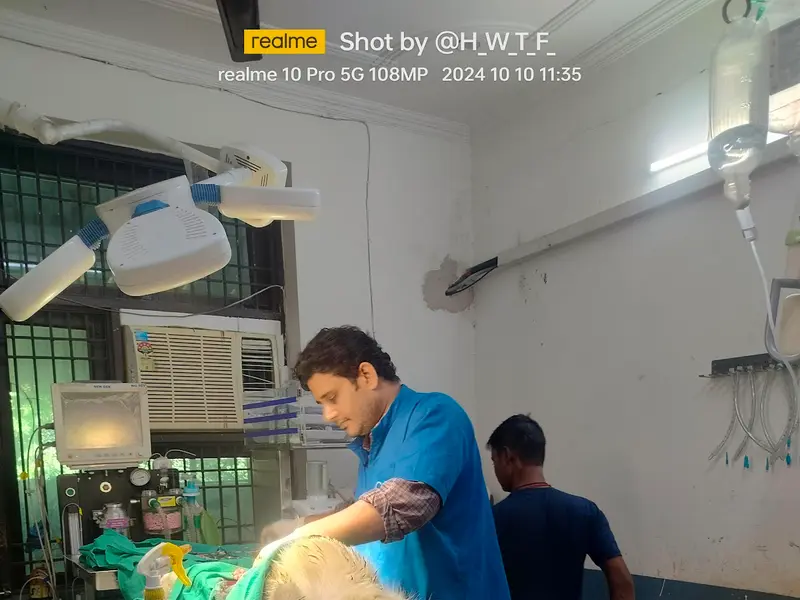 Krishna Lifeline Veterinary Hospital, photo 2