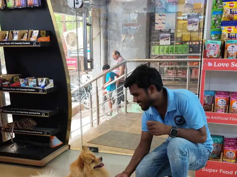 Pawsitive Pet Care & Clinic | Pet Boarding & Clinic
