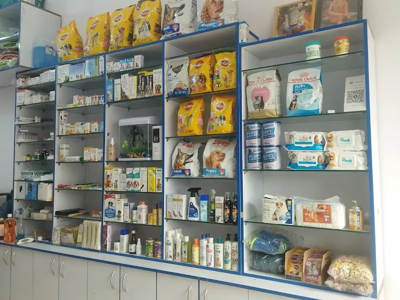 Imagine Pet Clinic, photo 2