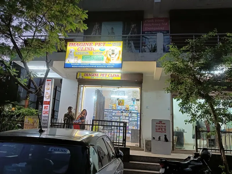 Imagine Pet Clinic, photo 4
