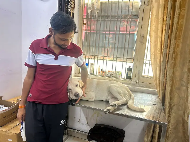 Imagine Pet Clinic, photo 5