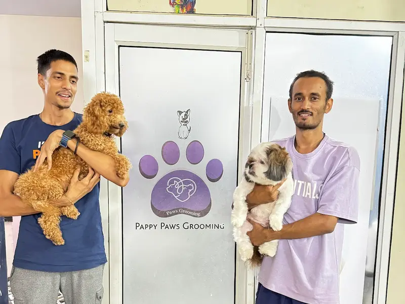 Pappy Paws - Pet Grooming and Boarding services in Noida, photo 4