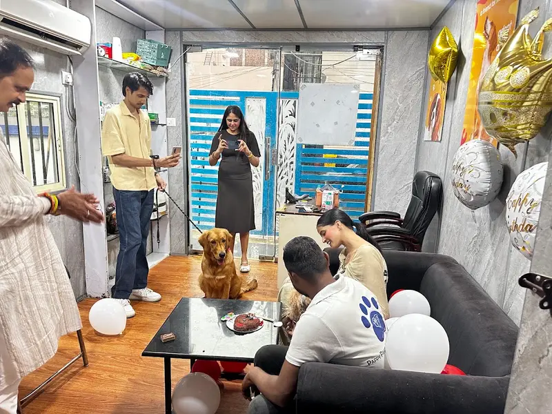 Pappy Paws - Pet Grooming and Boarding services in Noida, photo 5