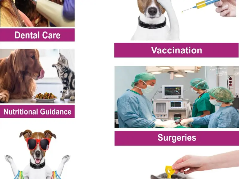 Happy Pet Vet Clinic, photo 4
