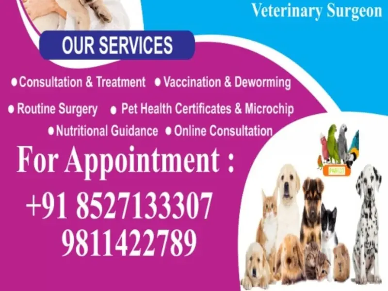 Happy Pet Vet Clinic, photo 5