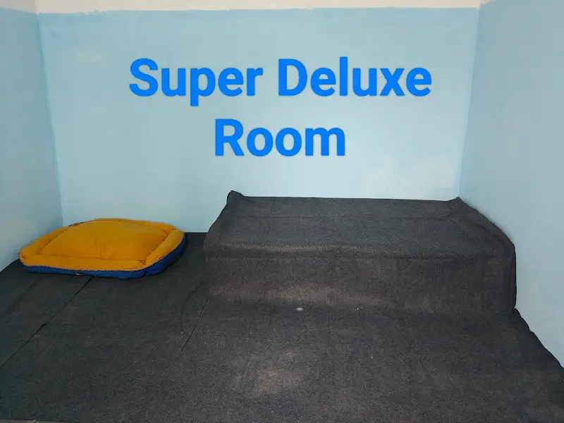 Pet Family Dog Boarding & Grooming, photo 4