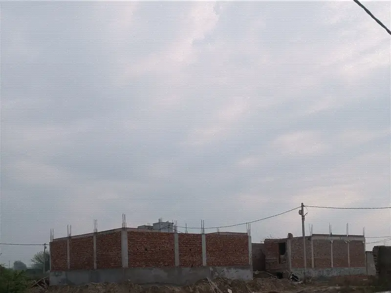 Poocheypoo Homes, photo 4