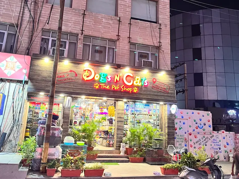 Dogs n Cats The Pet Shop, photo 3