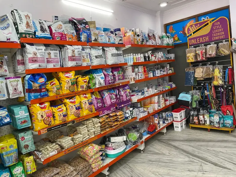 Vital Pet Clinic ( Noida), photo 2