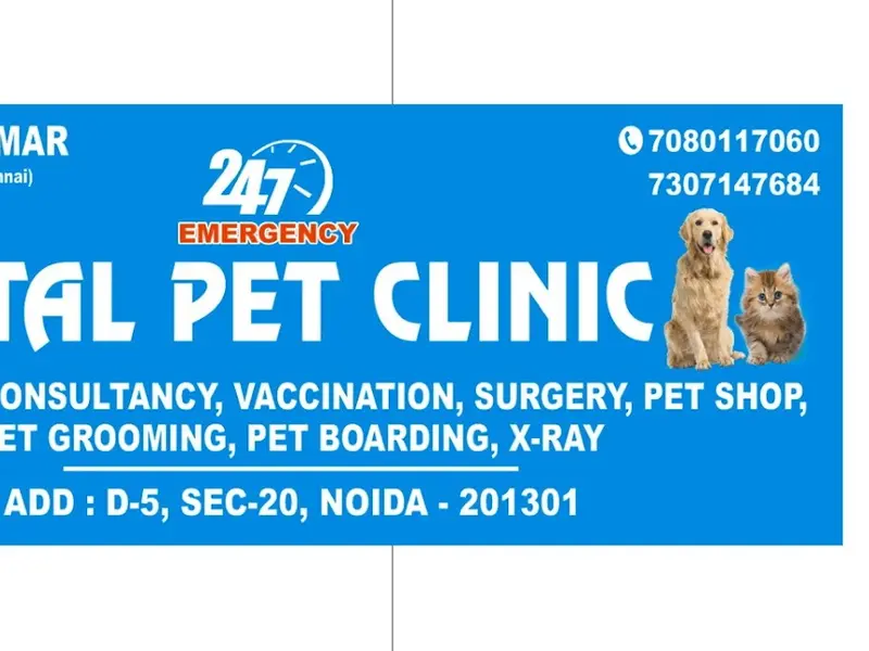 Vital Pet Clinic ( Noida), photo 5