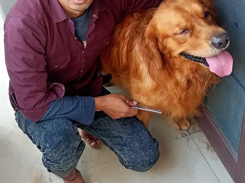 Hope Pet Care Services, photo 3