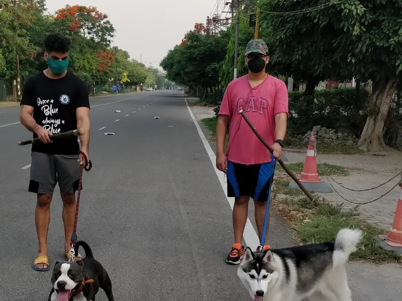 Sanah's Pet Friends, photo 5