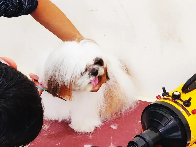 PetZorg PET CLINIC, photo 2