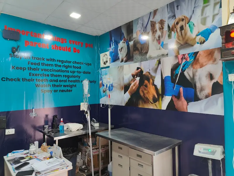 PetZorg PET CLINIC, photo 3