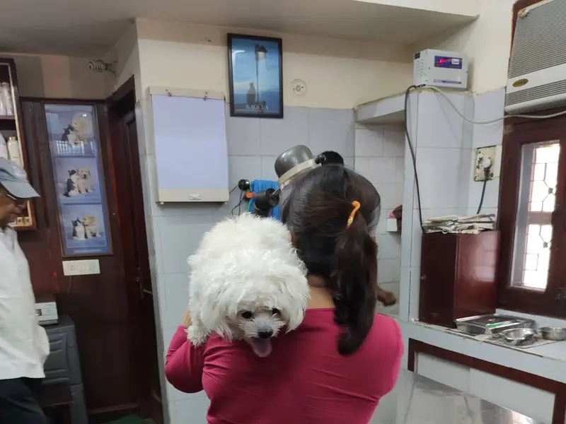 JRG Vet Clinic, photo 2