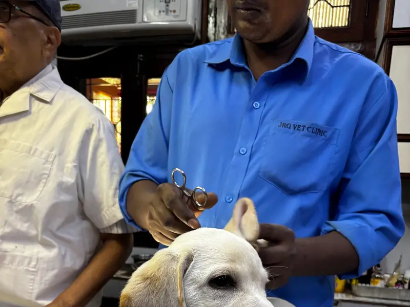 JRG Vet Clinic, photo 3